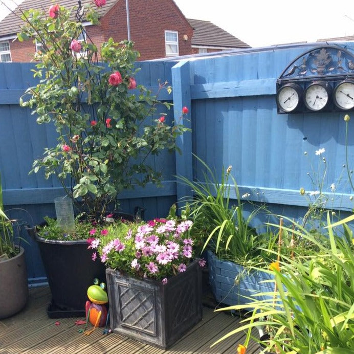 Forget Me Not Cuprinol Garden Shades blue wood paint