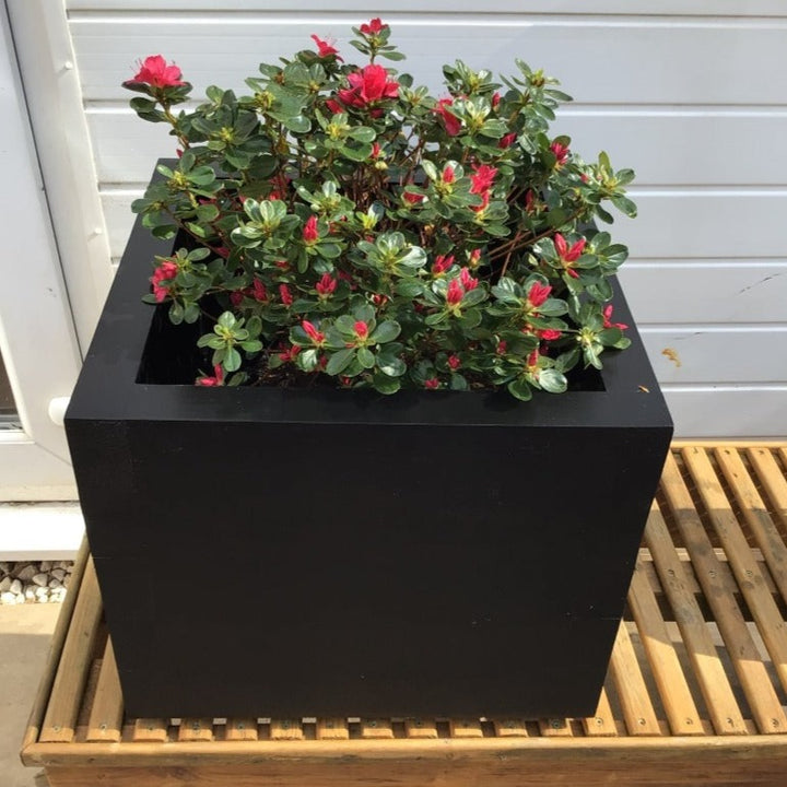 Black Ash Cuprinol Garden Shades wood paint