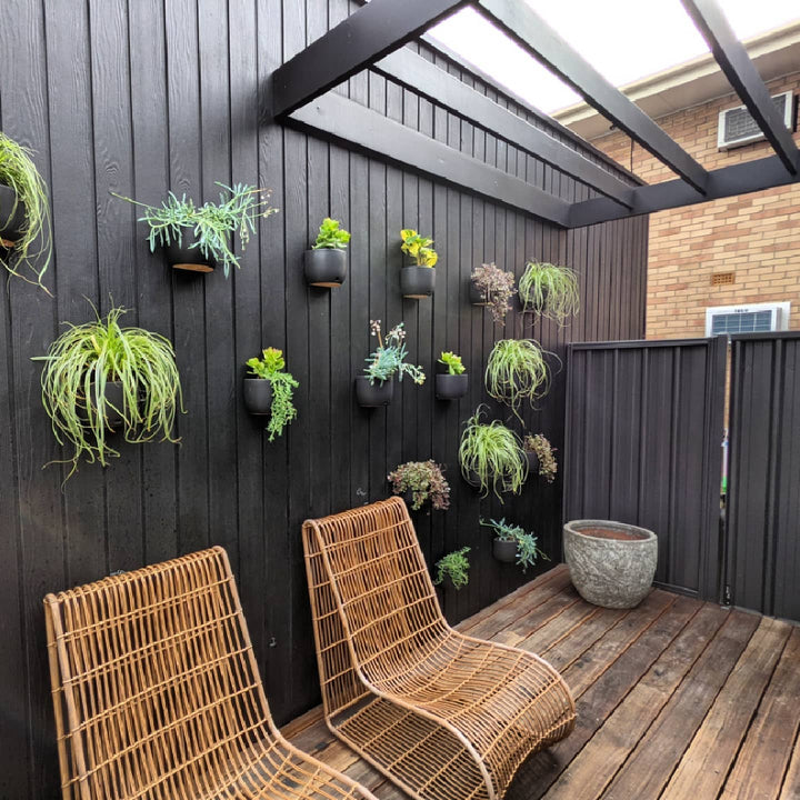 Ebony Cladding Log House Wood Stain Sikkens HLS Plus