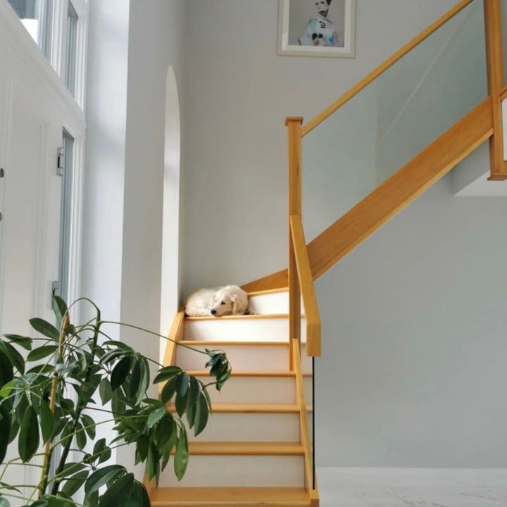 Winter's Breath Colourtrend Hallway Paint Colour