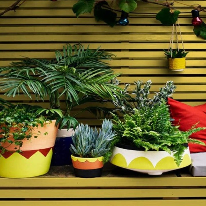 Dazzling Yellow 1 Cuprinol Garden Shades wood paint