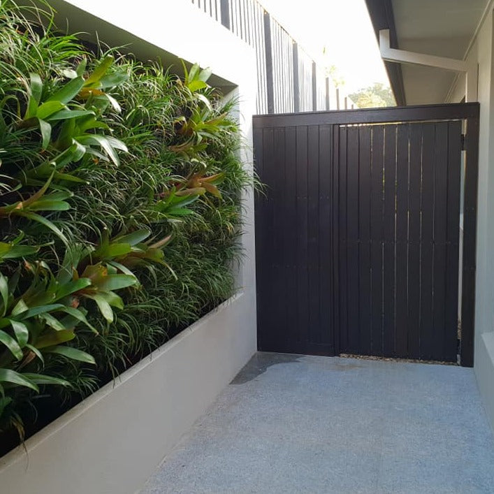 Ebony Gate Wood Stain Sikkens HLS Plus