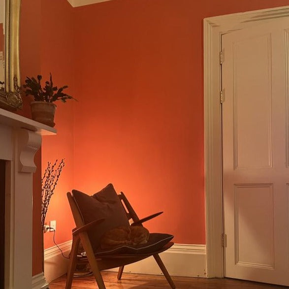 Bisque No. 9811 Farrow & Ball Living Room Paint Colour