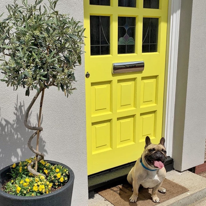 Yellowcake No. 279 Farrow & Ball Yellow Front Door Paint Colour 