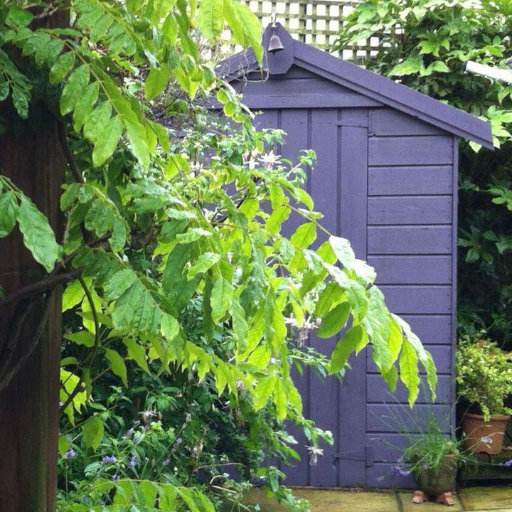 Lavender Cuprinol Garden Shades shed paint