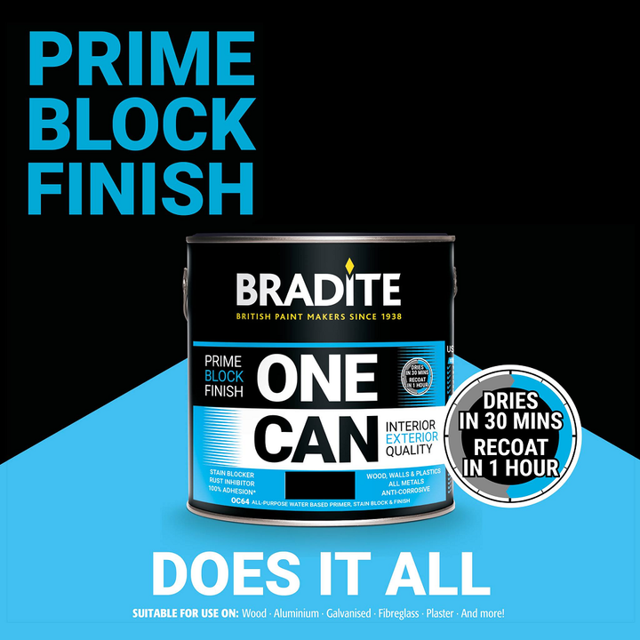 Bradite Black One Can Eggshell Universal Paint and Primer