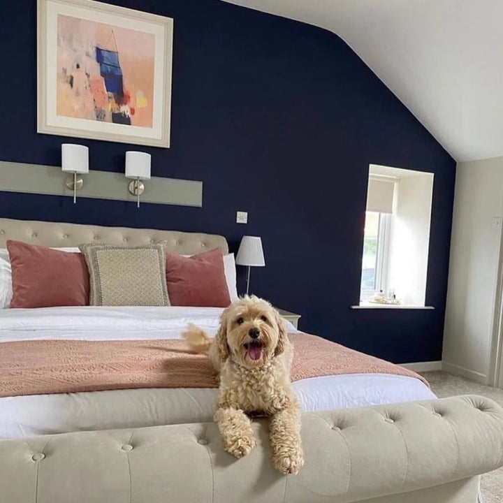 Inkwell Colourtrend Bedroom Paint Colour