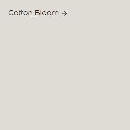 Cotton Bloom Dulux Paint Colour