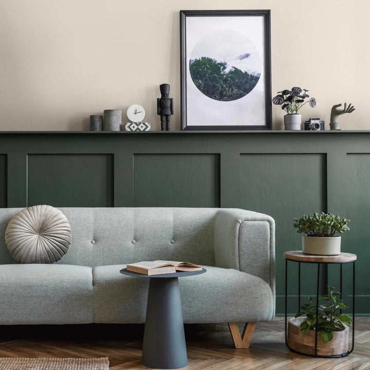 Foraging Colourtrend Paint Living Room  Colour
