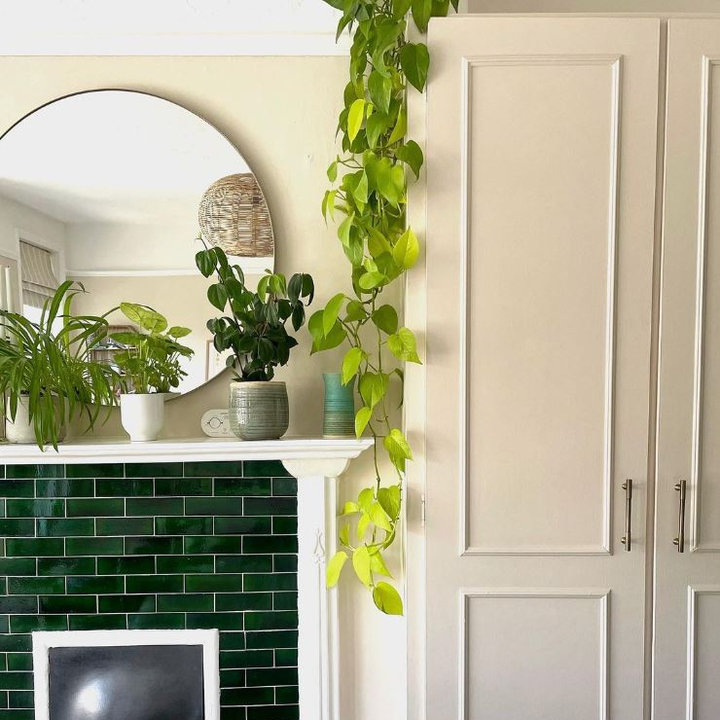 Leather II - Leather 2 - Paint And Paper Library Bedroom Paint Colour