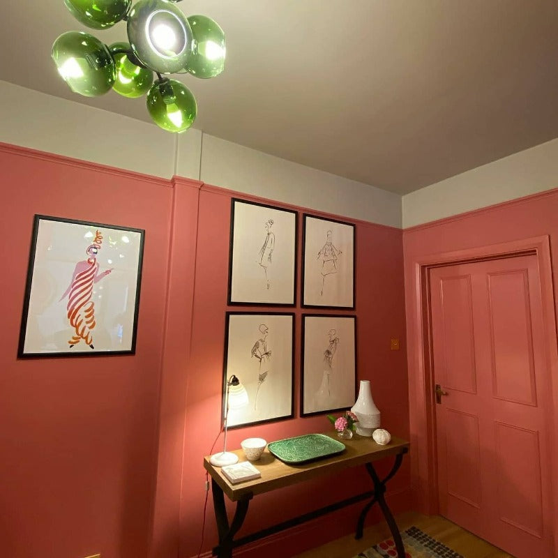 Rhubarb 376 Paint And Paper Library hallway paint colour from Paint Online