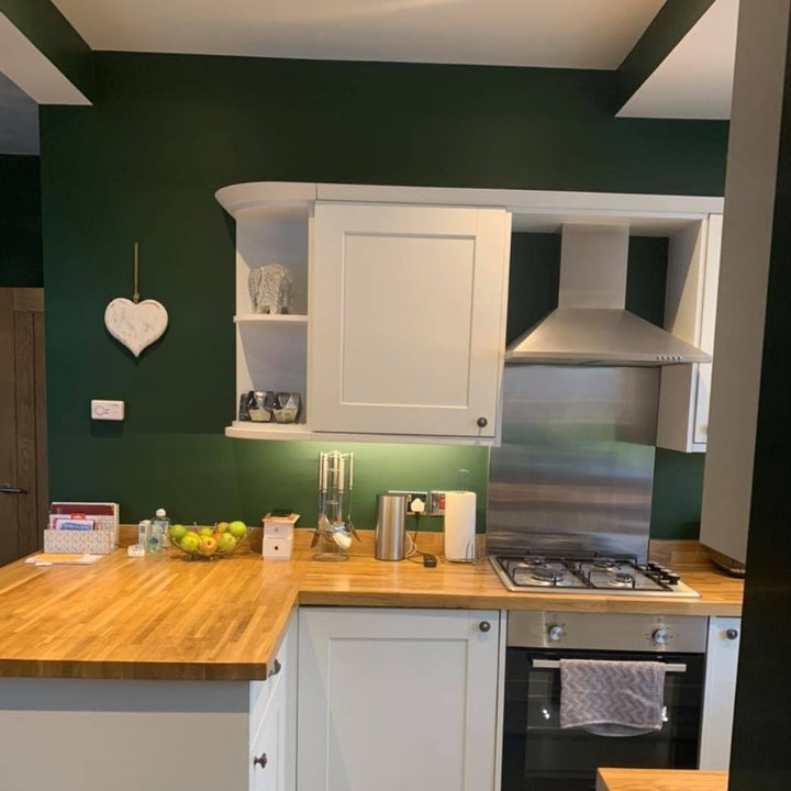 Duck Green Farrow & Ball Paint Duck Green Farrow & Ball kitchen paint colour from Paint Online
