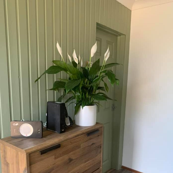 Boringdon Green 295 Little Greene Hallway Panelling Paint Colour from Paint Online