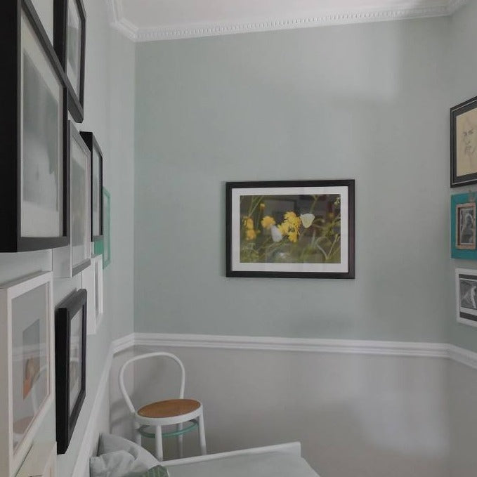 Pale Powder No. 204 - Farrow & Ball Paint Colour - Paint Online Ireland