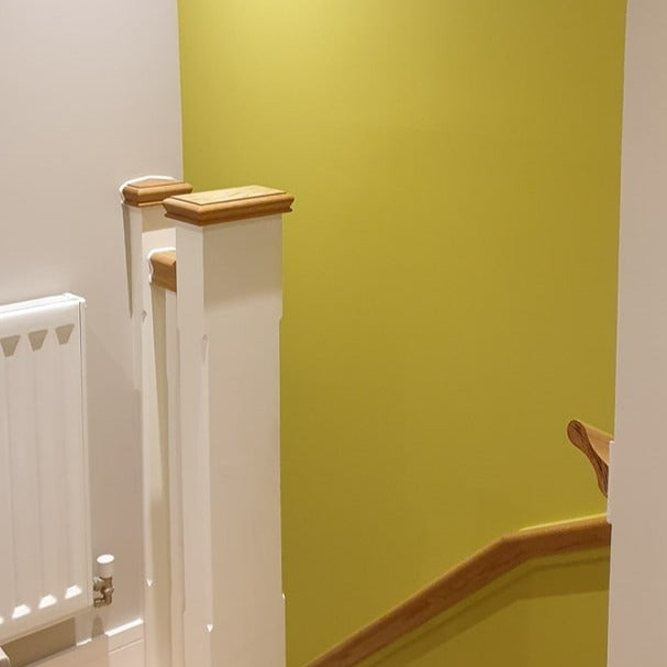Little Greene Pale Lime No. 70 is a zesty green paint colour that can bring freshness to rooms. Buy Little Greene Pale Lime 70 hallway and stairs paint online.