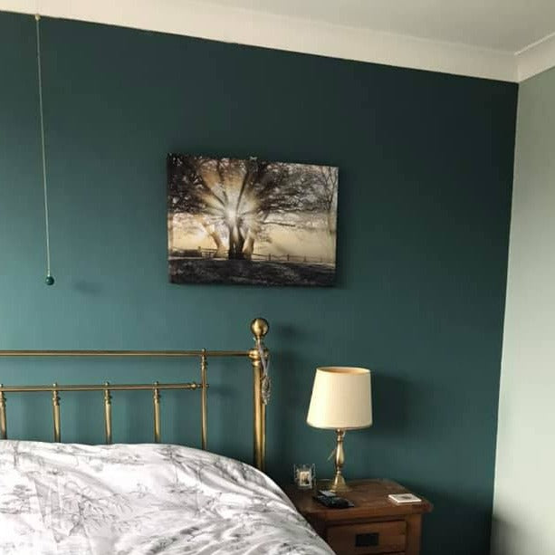 Little Greene Tea with Florence No. 310 is a beautiful blue green paint colour. Appearing as a teal colour in certain light. Buy Little Greene paint online in Ireland.