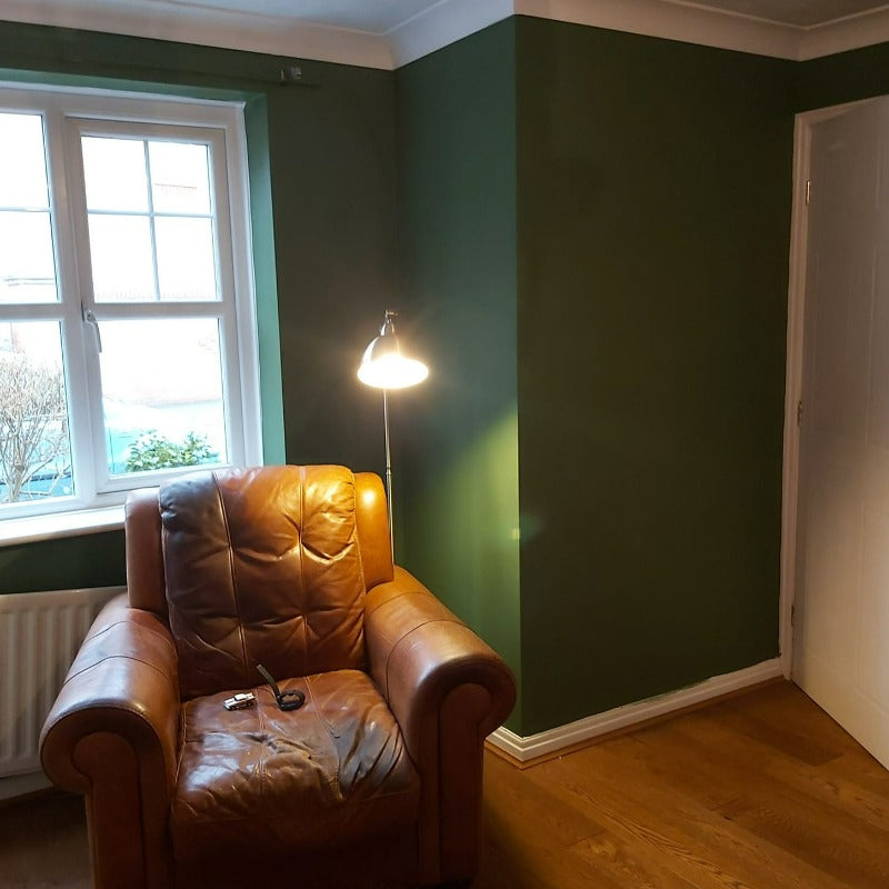 Little Greene Hopper No. 297 is a bold, dark green paint colour. Green living room paint colour. Buy Little Greene Hopper 297 paint online.