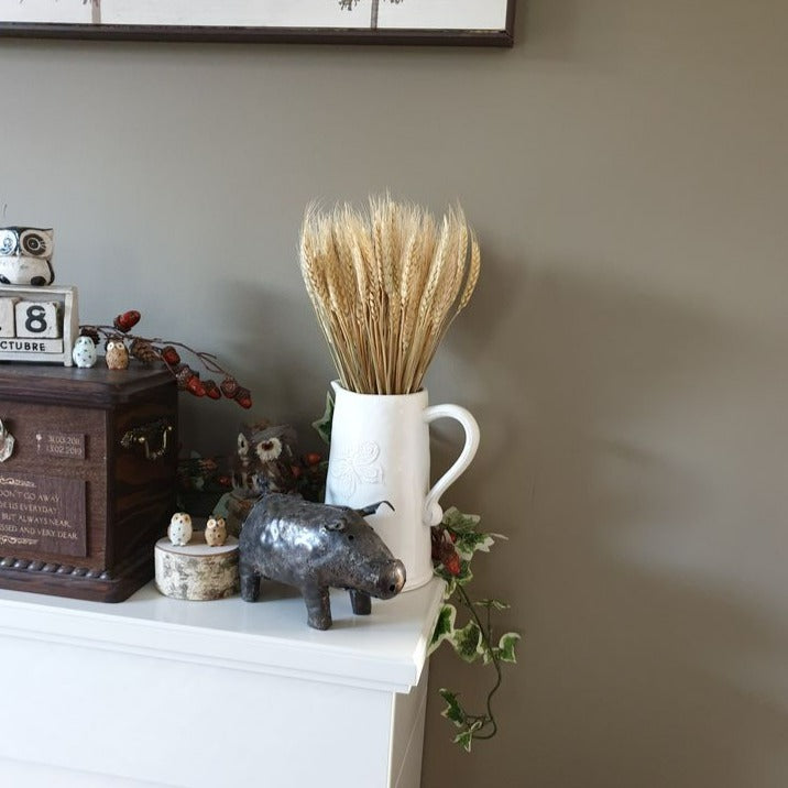 Farrow & Ball Mouses Back No. 40 - Farrow and Ball Paint Colour - Living room Paint Colour - Paint Online Ireland