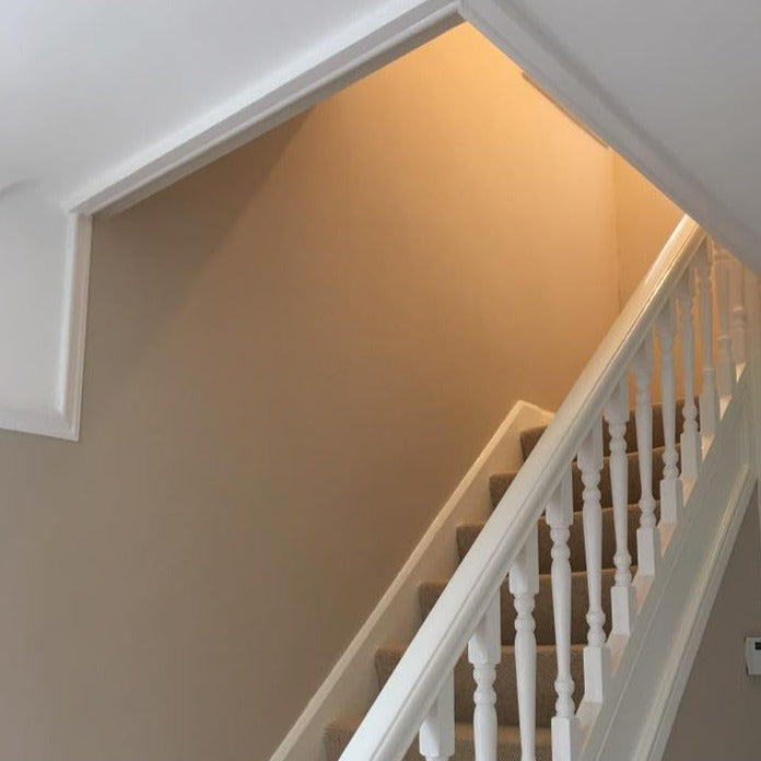 Little Greene Mushroom No. 142 Hallway Colour. A versatile taupe colour. Order Little Greene Mushroom 142 online in Ireland.