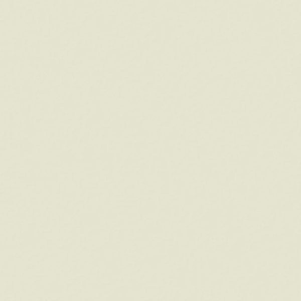 Little Greene Mirror No. 219 is a pared-down green paint colour with an unquestionable calming quality. Buy Little Greene Mirror 219 paint online.