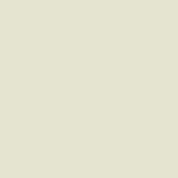 Little Greene Mirror No. 219 is a pared-down green paint colour with an unquestionable calming quality. Buy Little Greene Mirror 219 paint online.