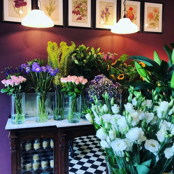 Brinjal by Farrow & Ball. Purple paint colour from Paint Online