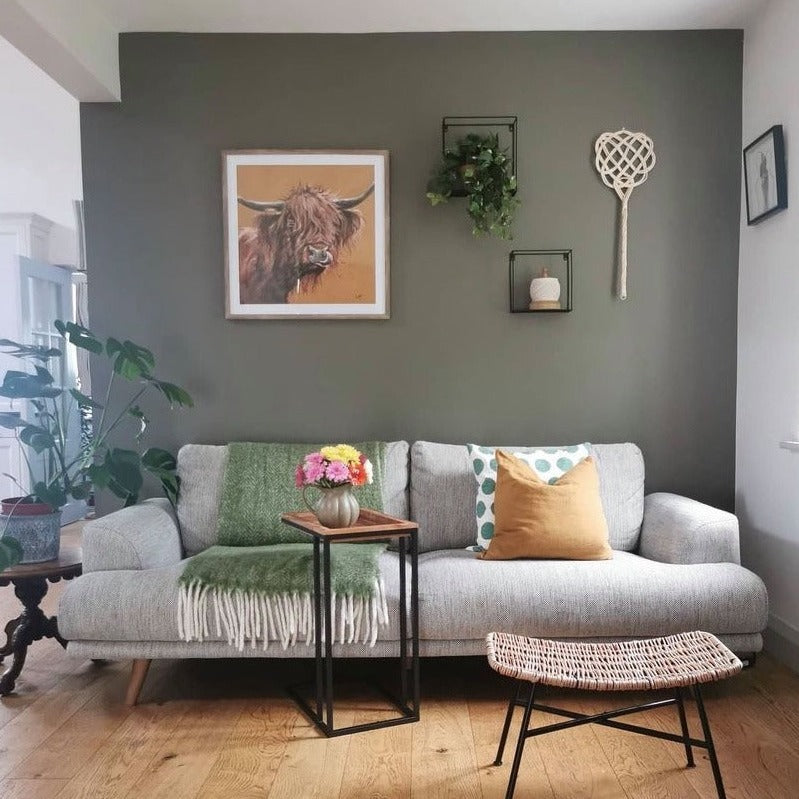 Burrowing - Colourtrend Paints - Brown Living Room Paint Colour - Paint Online Ireland