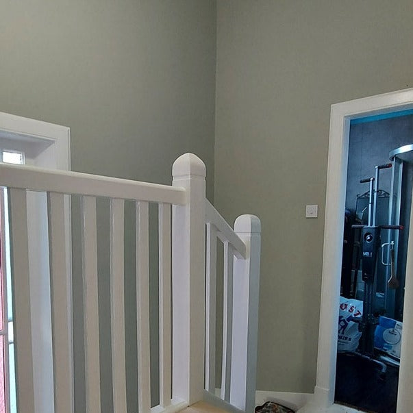 Little Greene Tracery II No. 78 is a refreshing green paint colour. Tracery II is a lush and uplifting choice for any room. Order Little Greene paint online in Ireland.