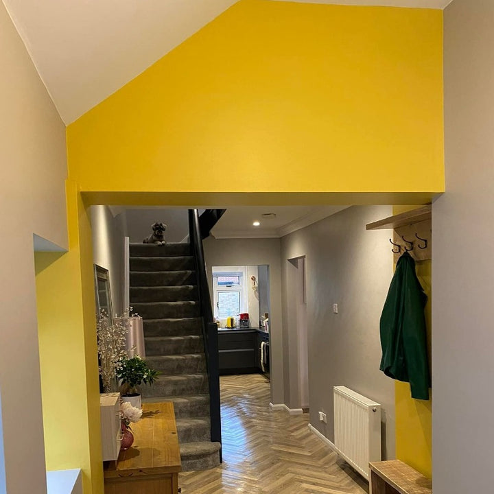 Babouche No.223 Farrow & Ball Hallway Paint Colour from Paint Online