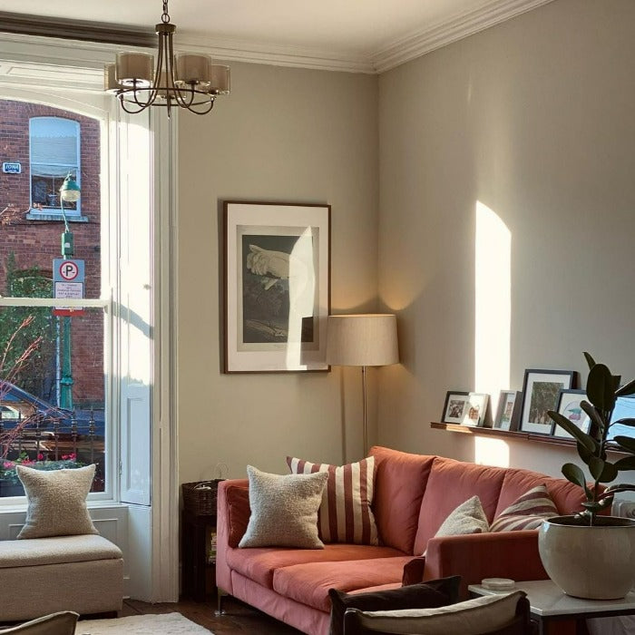 Shaded White No. 201 Farrow & Ball Paint Colour - Living Room Paint Colour - Paint Online Ireland