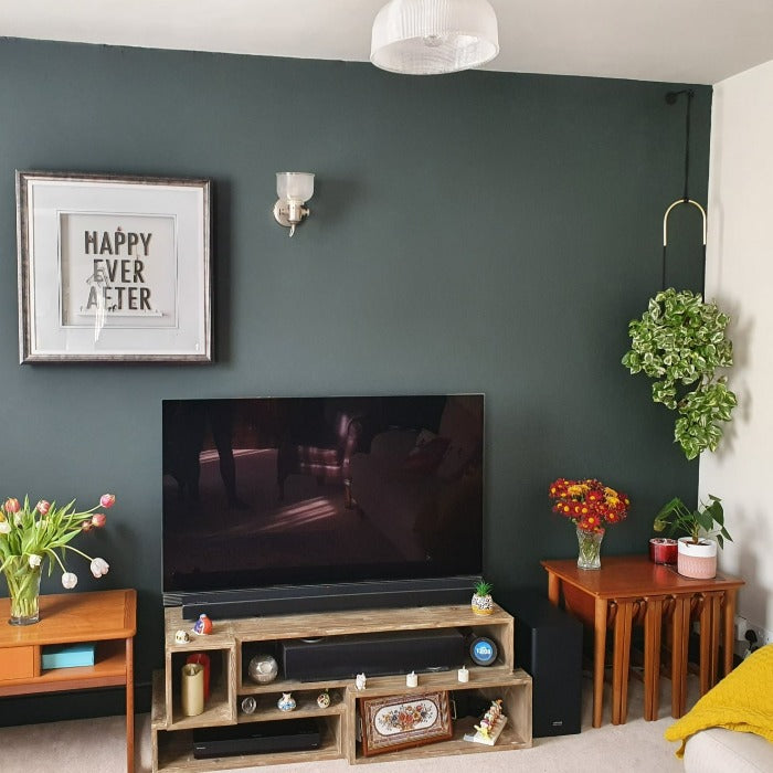 Studio Green No. 93 Farrow & Ball Paint Colour - Living Room Paint Colour - Paint Online Ireland