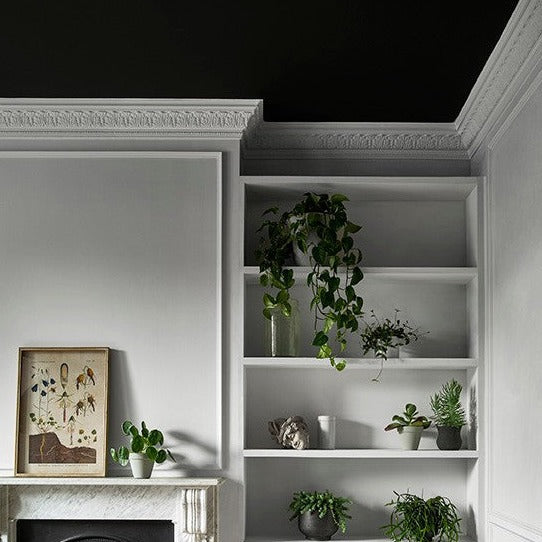 New Black Paint And Paper Library Paint Colour No. 126. Black ceiling paint colour.