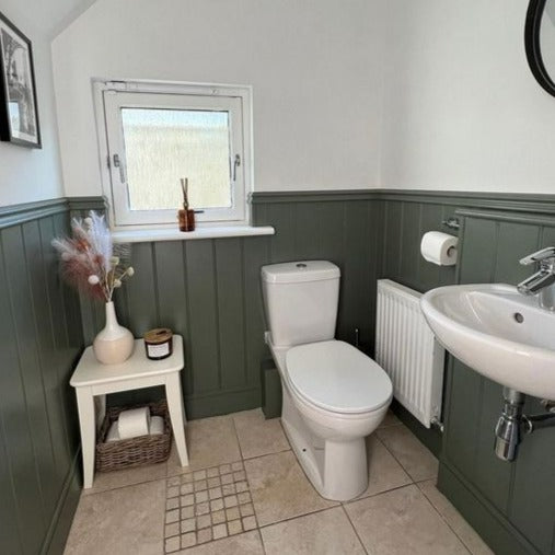 Colourtrend Standing Tall - Green Bathroom Paint Colour - Colourtrend Green - Paint Online Ireland