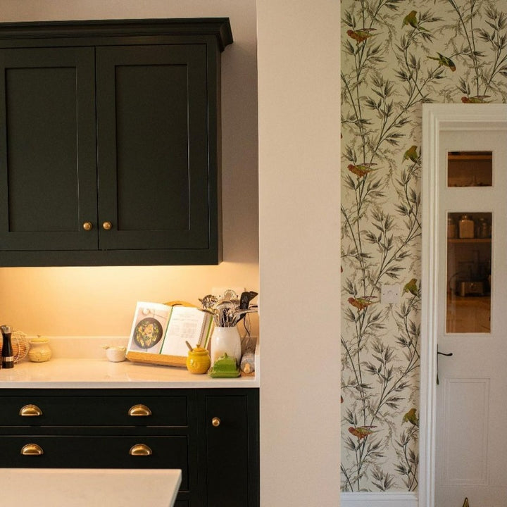 Little Greene Obsidian Green No. 216 is a dark green paint colour. Dark green kitchen cabinet presses paint colour. Buy Little Greene paint online.