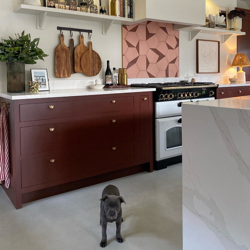 Deep Reddish Brown Farrow & Ball kitchen cabinet paint colour from Paint Online