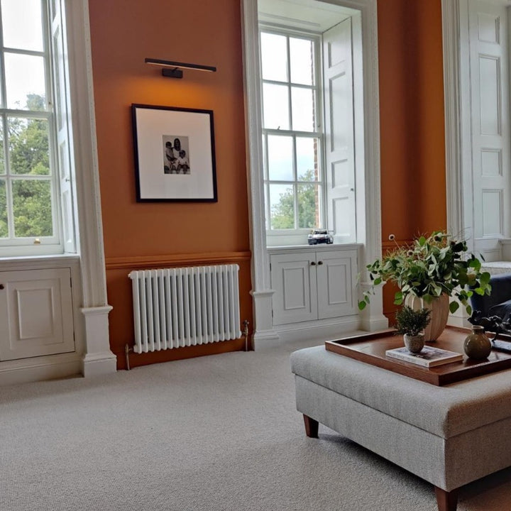 Rufus Paint And Paper Library living room paint colour from Paint Online