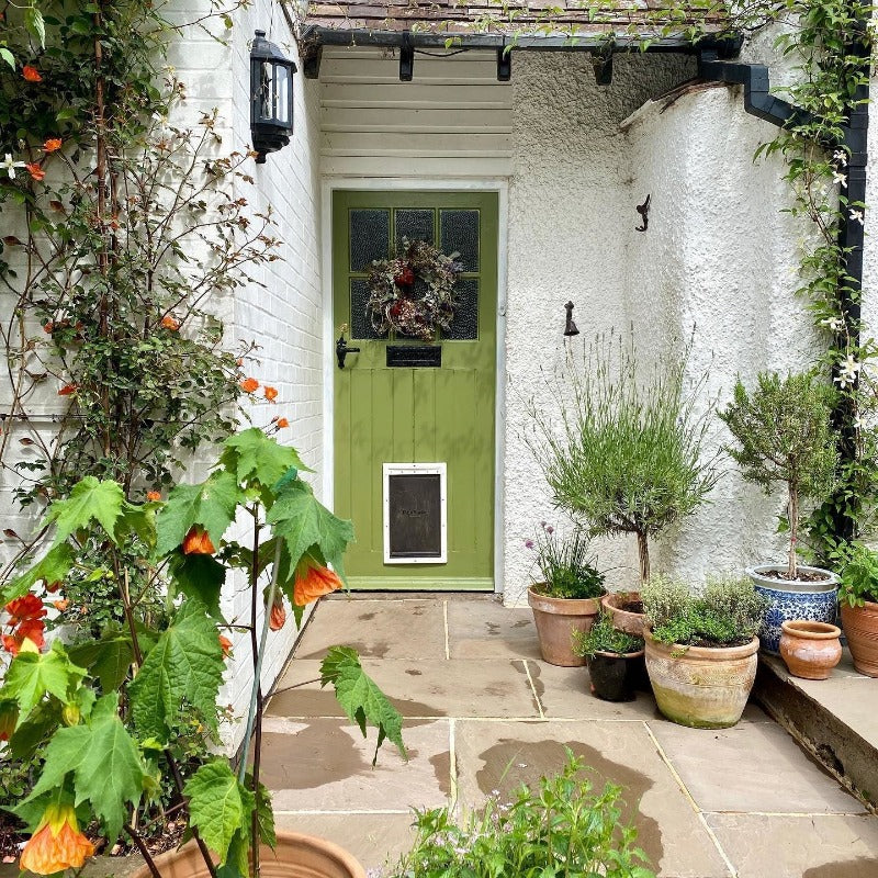 Sap Green Farrow & Ball front door paint colour in Exterior Eggshell from Paint Online