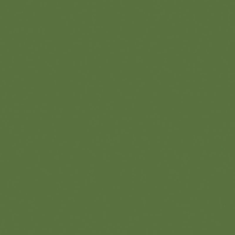Little Greene Hopper No. 297 is a bold, dark green paint colour that mirrors the colour of leaves. Buy Little Greene Hopper 297 paint online.