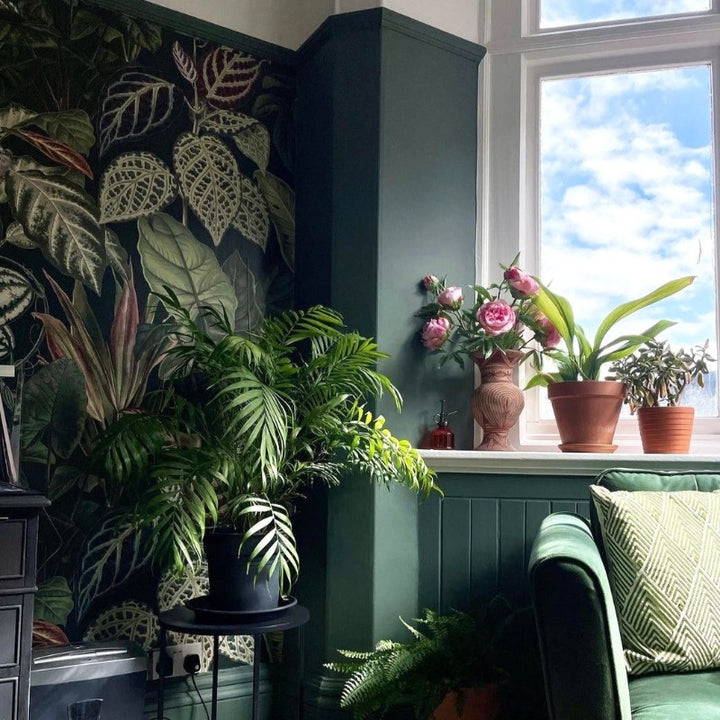 Little Greene Ho Ho Green 305. Green living room paint colour. Buy Little Greene paint online.