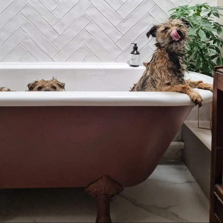 Masai - Paint And Paper Library Paint Colour No. 319. Bathroom paint colour.