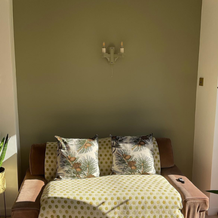 Olive Tree Dulux Heritage Paint Colour. Green living room paint colour.  Paint Online
