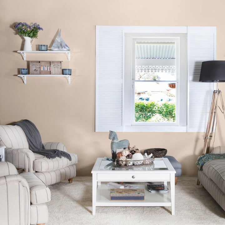 Salter Stone Colourtrend Paint Colour. Beige living room paint colour from Paint Online.