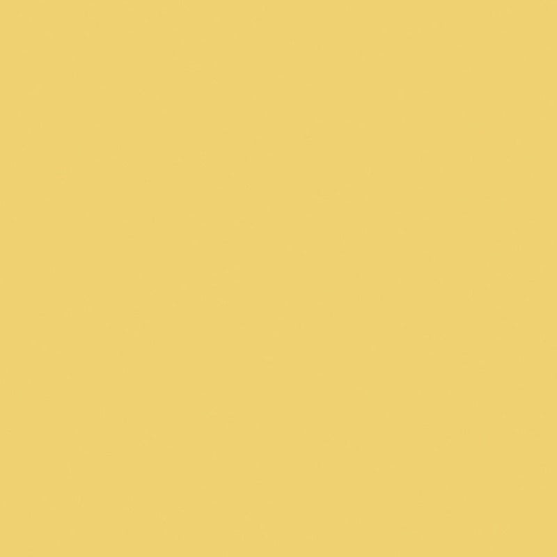 Little Greene Indian Yellow No. 335 is a beautiful warm yellow paint colour. Indian Yellow 335 looks and feels like happiness.