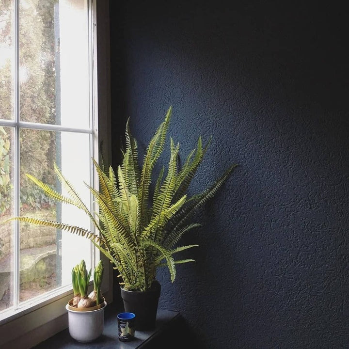 Kigali 678 from Paint And Paper Library. Black wall paint colour.