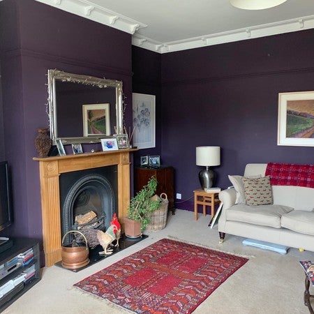 Farrow & Ball Pelt No. 254 - Paint Online Ireland - Living Room Paint Colour