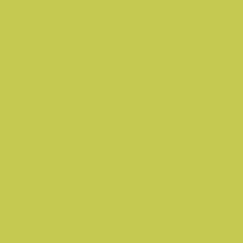 Little Greene Pale Lime No. 70 is a zesty green paint colour that can bring freshness to rooms. Buy Little Greene Pale Lime 70 paint online.