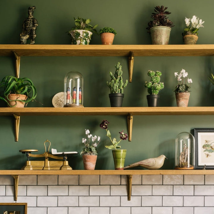 Little Greene Ho Ho Green 305. Green kitchen paint colour. Buy Little Greene paint online.