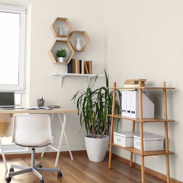 Alabaster White from the Colourtrend Contemporary Paint Collection