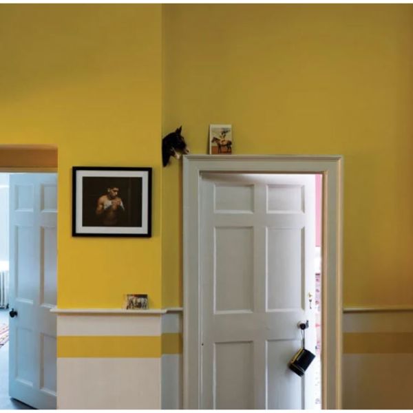 Farrow & Ball Babouche