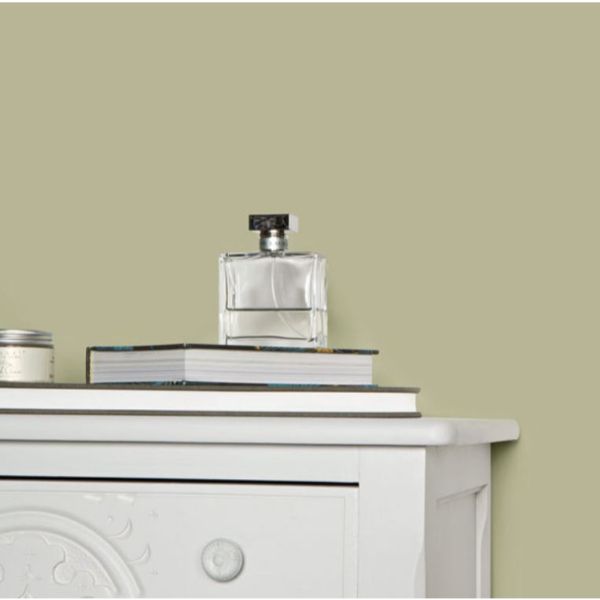 Ball Green Farrow and Ball living room paint colour from Paint Online